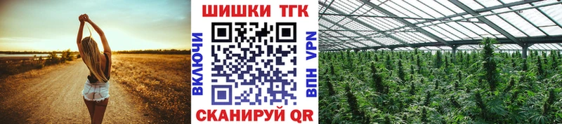 Конопля OG Kush  Купить где  Рошаль 